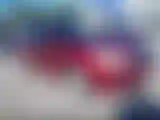 Vehicle Image- 2011 Subaru Legacy