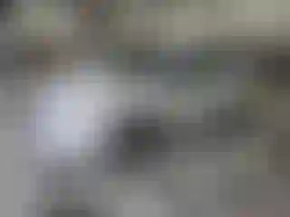 Vehicle Image- 2015 Subaru Legacy