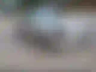 Vehicle Image- 2016 Subaru Legacy