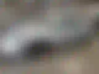 Vehicle Image- 2015 Subaru Legacy