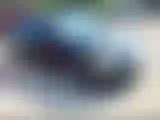 Vehicle Image- 2017 Subaru Legacy