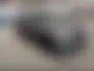 Vehicle Image- 2018 Subaru Legacy