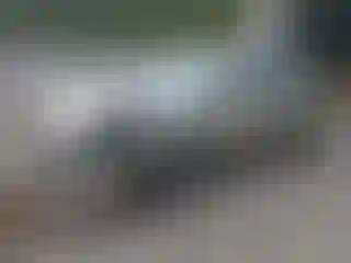 Vehicle Image- 2016 Subaru Legacy