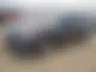 Vehicle Image- 2016 Subaru Legacy