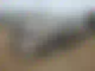 Vehicle Image- 2015 Subaru Legacy