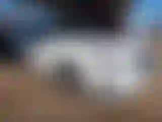 Vehicle Image- 2018 Subaru Legacy