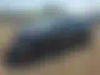 Vehicle Image- 2024 Subaru Legacy