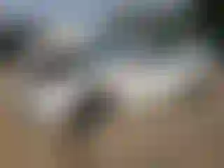 Vehicle Image- 2020 Subaru Legacy