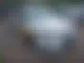 Vehicle Image- 2019 Subaru Impreza