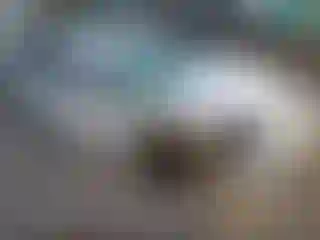 Vehicle Image- 2020 Subaru Impreza