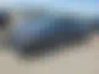 Vehicle Image- 2020 Subaru Impreza