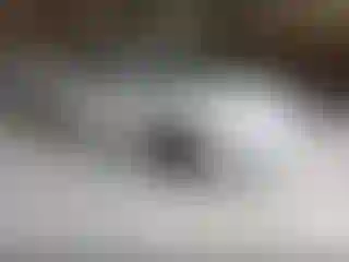 Vehicle Image- 2022 Subaru Impreza