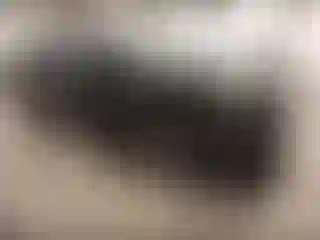 Vehicle Image- 2023 Subaru Impreza