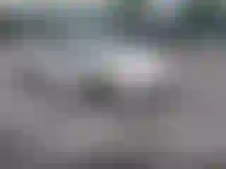 Vehicle Image- 2023 Subaru Impreza