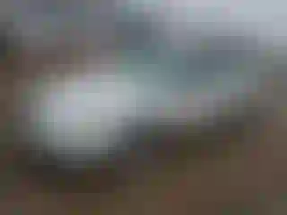 Vehicle Image- 2009 Subaru Legacy