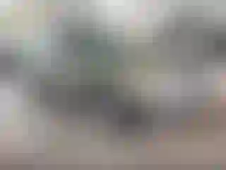 Vehicle Image- 2005 Subaru Outback