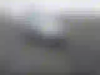 Vehicle Image- 2007 Subaru Outback