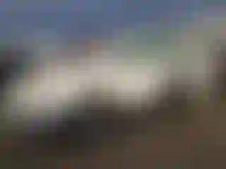 Vehicle Image- 2007 Subaru Outback