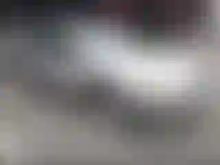 Vehicle Image- 2007 Subaru Outback