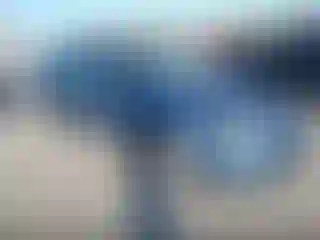 Vehicle Image- 2008 Subaru Outback