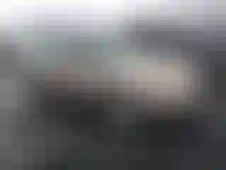 Vehicle Image- 2008 Subaru Outback