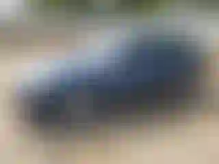 Vehicle Image- 2008 Subaru Outback