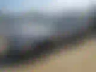 Vehicle Image- 2008 Subaru Outback