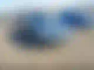 Vehicle Image- 2006 Subaru Outback