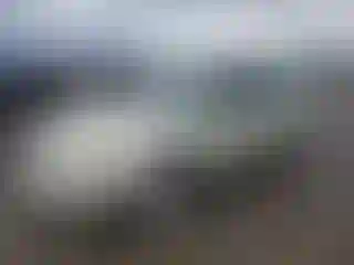 Vehicle Image- 2005 Subaru Legacy