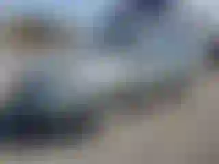 Vehicle Image- 2009 Subaru Outback