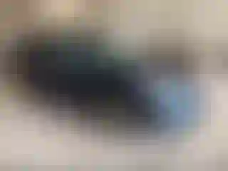 Vehicle Image- 2010 Subaru Outback