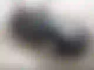 Vehicle Image- 2013 Subaru Outback