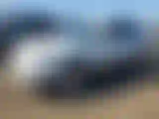 Vehicle Image- 2012 Subaru Outback