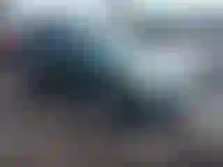 Vehicle Image- 2010 Subaru Outback