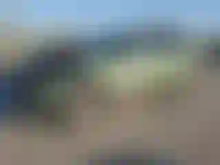 Vehicle Image- 2011 Subaru Outback