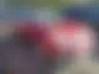 Vehicle Image- 2011 Subaru Outback