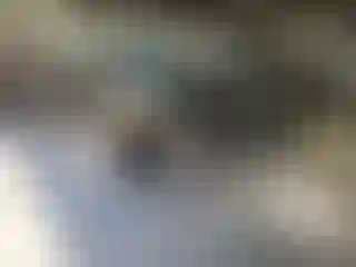 Vehicle Image- 2010 Subaru Outback