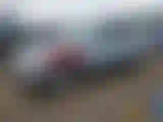 Vehicle Image- 2012 Subaru Outback