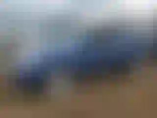 Vehicle Image- 2010 Subaru Outback