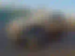 Vehicle Image- 2010 Subaru Outback