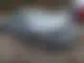 Vehicle Image- 2019 Subaru Outback