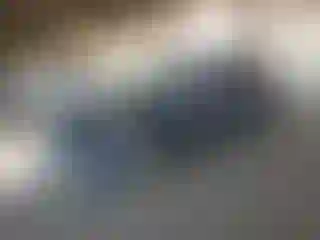 Vehicle Image- 2016 Subaru Outback