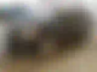 Vehicle Image- 2016 Subaru Outback