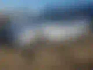 Vehicle Image- 2017 Subaru Outback