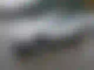 Vehicle Image- 2016 Subaru Outback