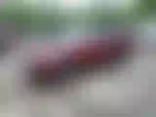 Vehicle Image- 2015 Subaru Outback