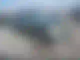 Vehicle Image- 2019 Subaru Outback