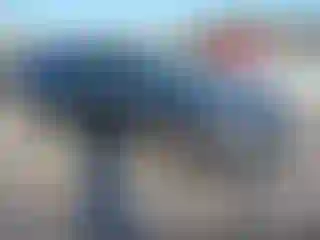 Vehicle Image- 2019 Subaru Outback