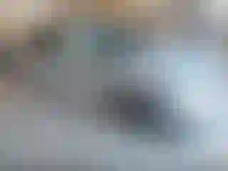 Vehicle Image- 2019 Subaru Outback