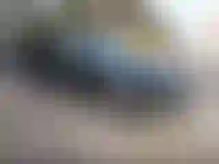 Vehicle Image- 2017 Subaru Outback